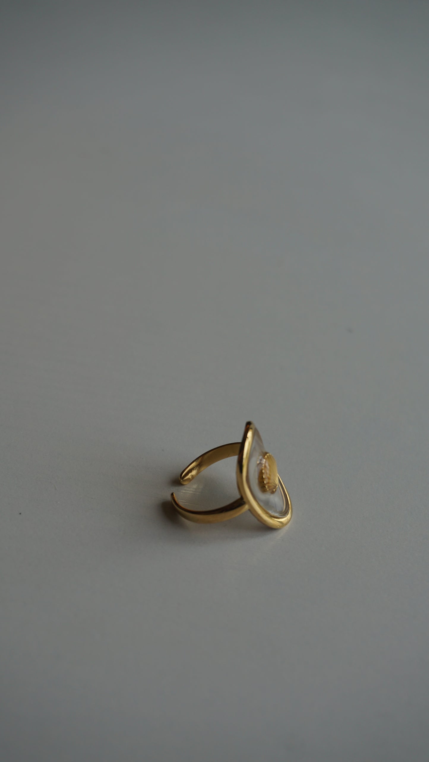 PARGUITO RING RESIZABLE