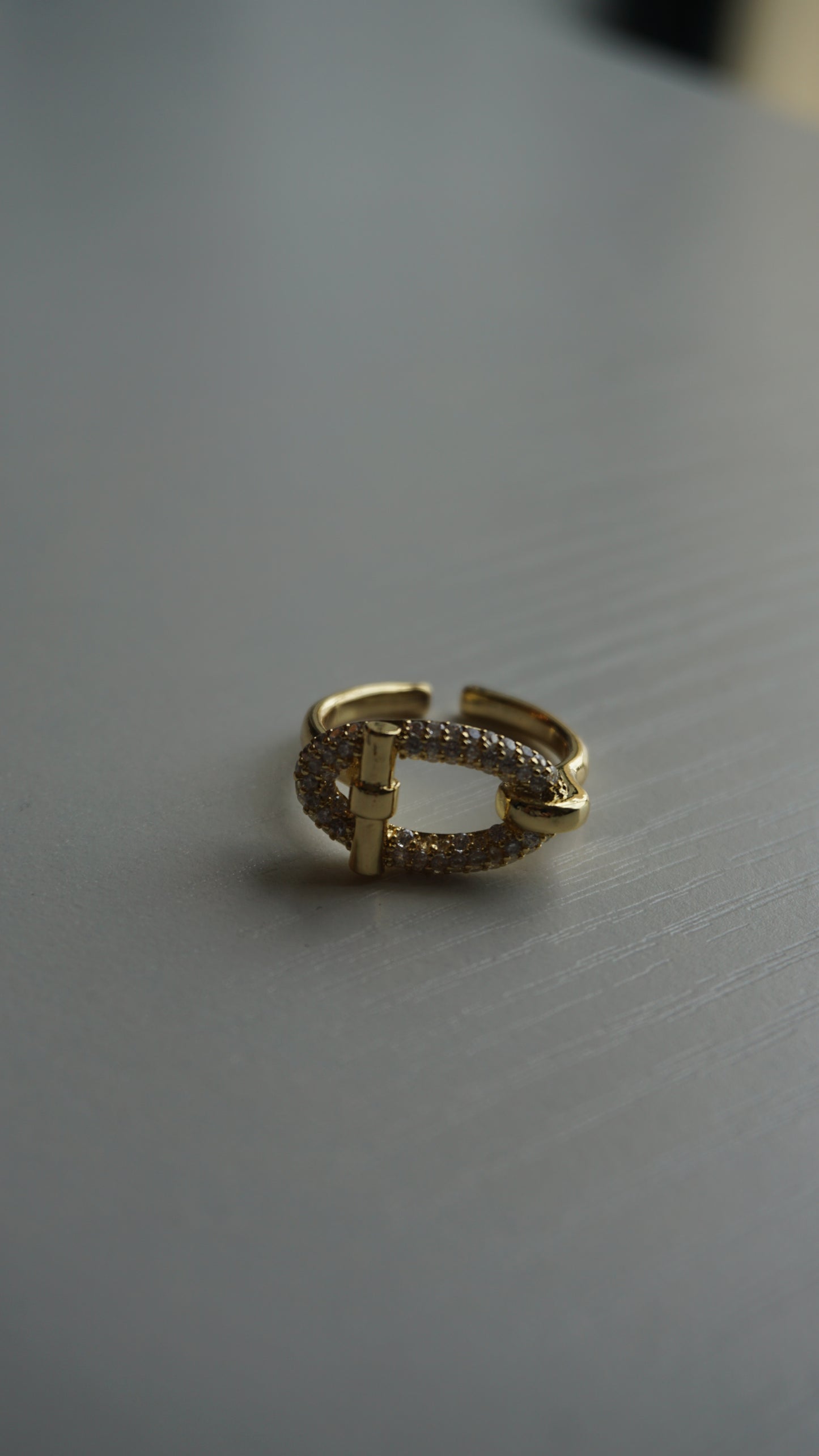 DOUBLE TROUBLE RING RESIZABLE