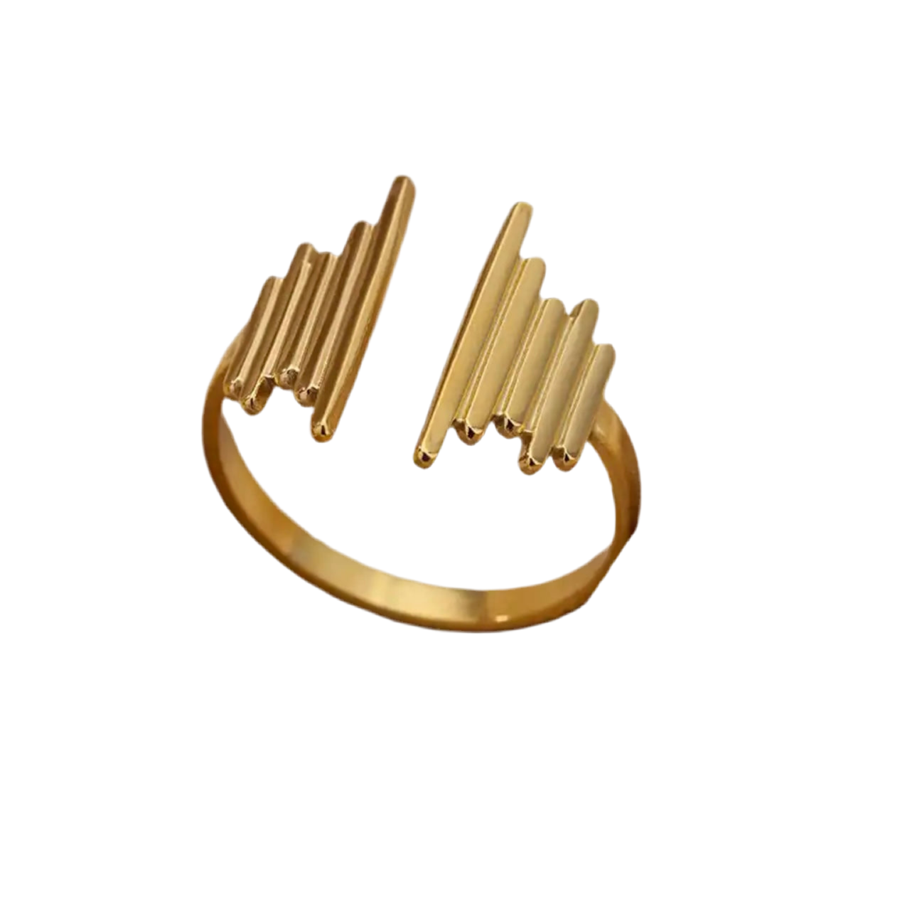 VERÓNICA ANILLOS