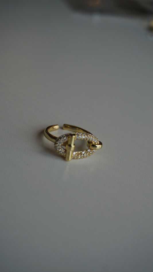 DOUBLE TROUBLE RING RESIZABLE