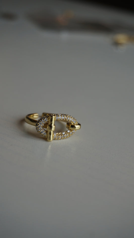 DOUBLE TROUBLE RING