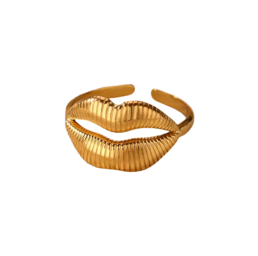 LABIOS DE ANILLO DE ACERO