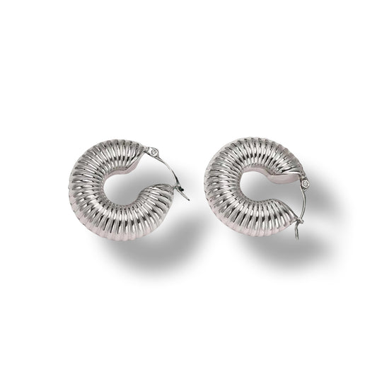 Caracoles Earrings